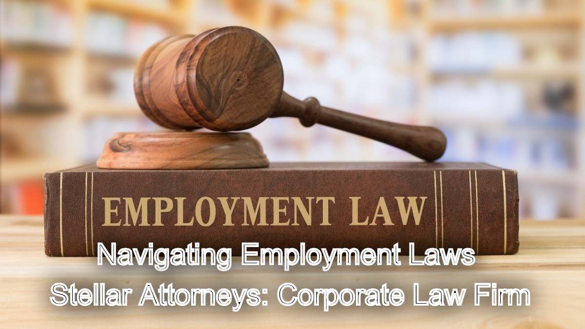 Navigating Employment Laws: Insights into the Employment Contracts Act