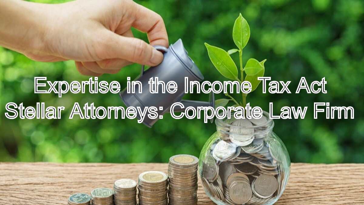 Advocating for Tax Efficiency: Expertise in the Income Tax Act